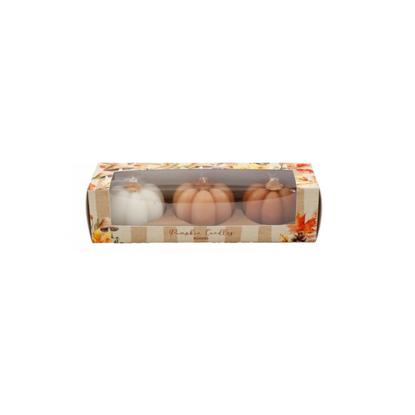 Three small decorative pumpkins in white, tan, and brown arranged inside a clear-fronted rectangular box with fall-themed printed borders.