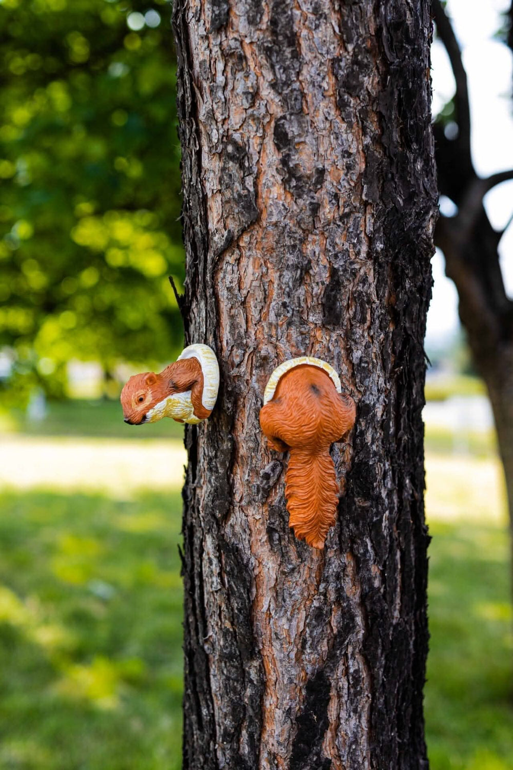 Novelty Red Squirrel Garden Animal Tree Peeker