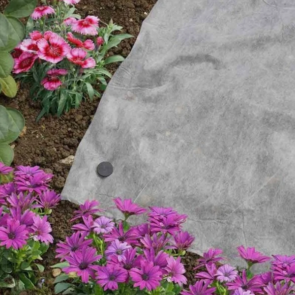 Pink and purple flowers with a large gray stone in the garden