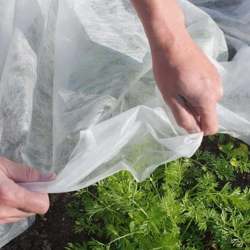 Person holding a clear plastic sheet over plants in a garden