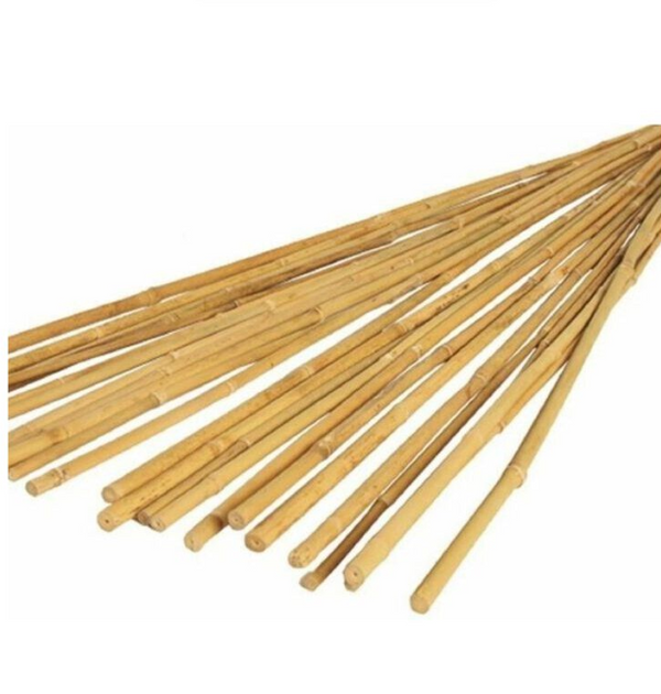 Pack Of 40 4ft (120cm) Bamboo Canes