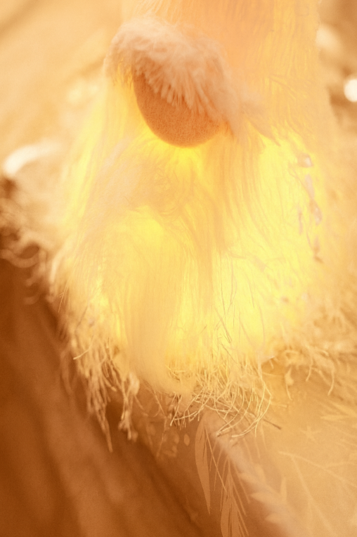 Close-up of a fluffy white object with a blurred background