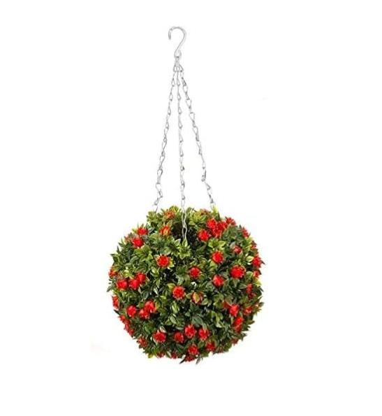 Hanging basket with green plants and red flowers on a white background