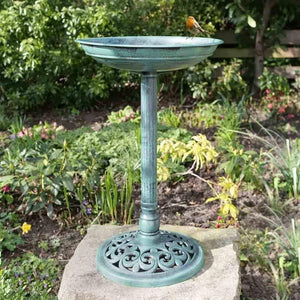 Traditional freestanding bird bath in garden setting