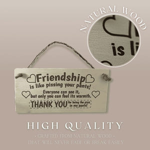 Vintage style friendship plaque hanging on rustic wall