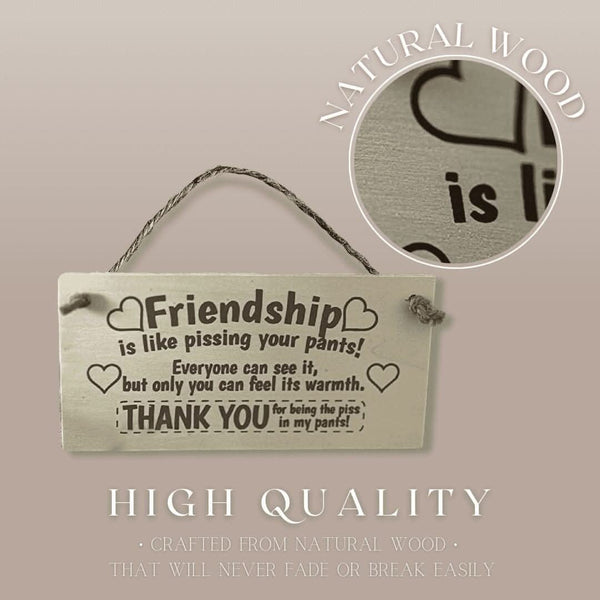 Vintage style friendship plaque hanging on rustic wall