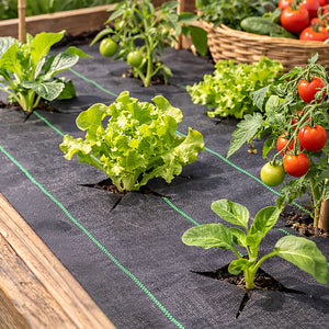 2m x 50m Heavy Duty Weed Control Fabric