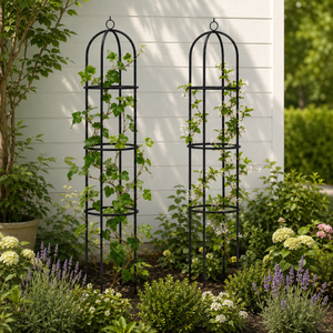 Two black metal arched trellis stands with climbing green plants, set in a garden in front of a white shiplap wall.
