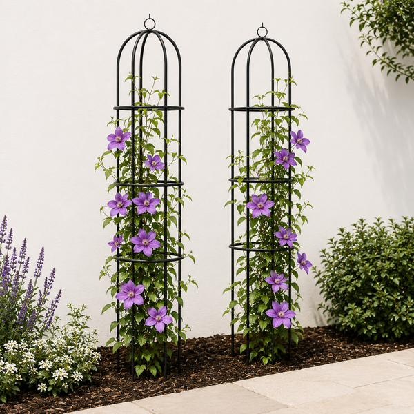 Two black metal arched trellis towers with purple clematis flowers, shown in a garden setting against a white wall.