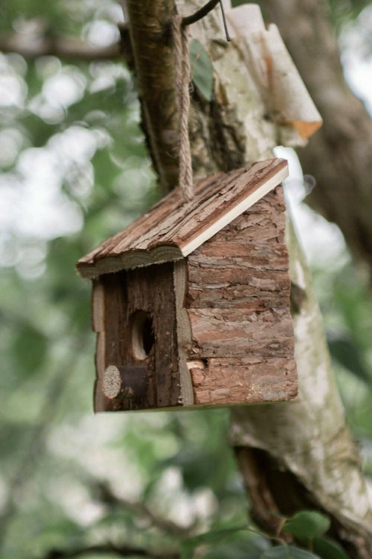 View of Bird Houses & Nesting Boxes