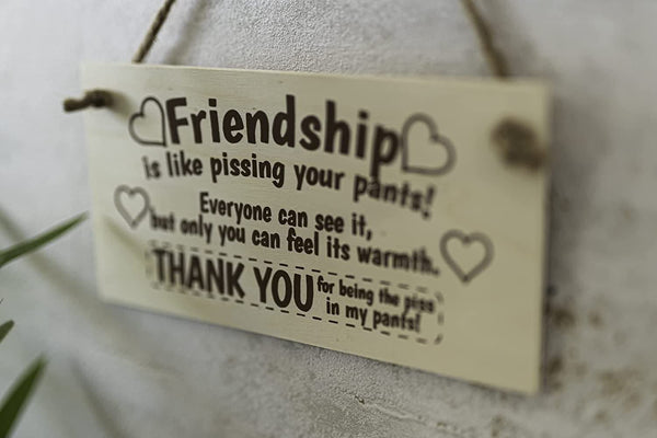 Wooden novelty friendship plaque for birthdays and Christmas