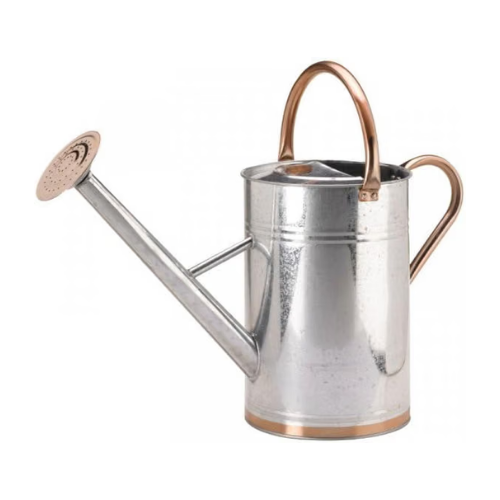 A shiny silver metal watering can with a long spout and handle, being held by hands and watering pink and yellow flowers in a garden.