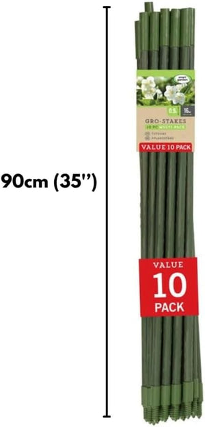 Adjustable garden canes supporting tomato plants outdoors