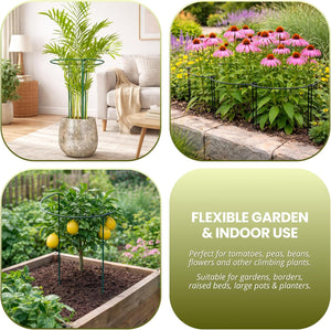 Plant support stakes for peonies and roses