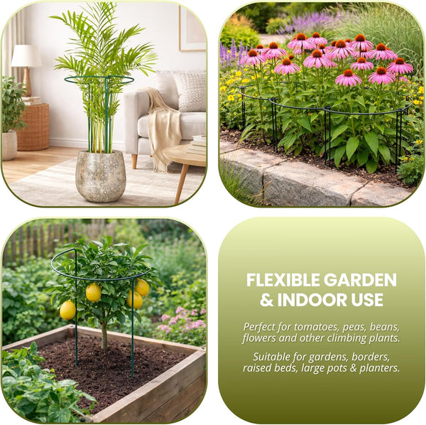 Plant support stakes for peonies and roses