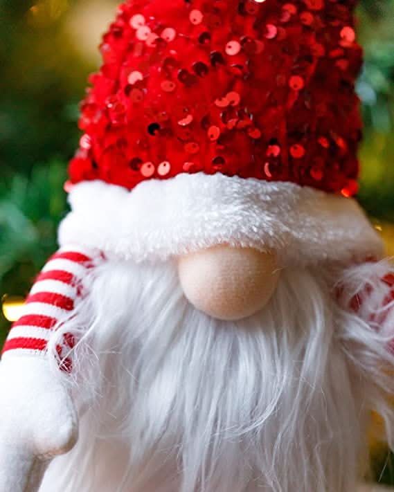 Gnome figurine with a red sequined hat and white beard against a blurred green background