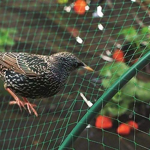 Anti bird garden netting measuring 4 x 10 metres