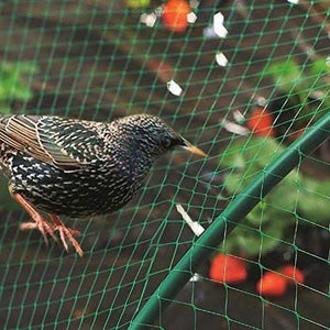 Anti bird garden netting measuring 4 x 10 metres