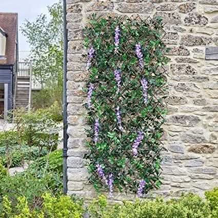 Purple wisteria trellis garden decoration