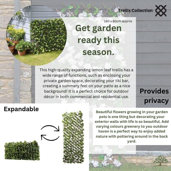Lemon leaf trellis wall privacy screen