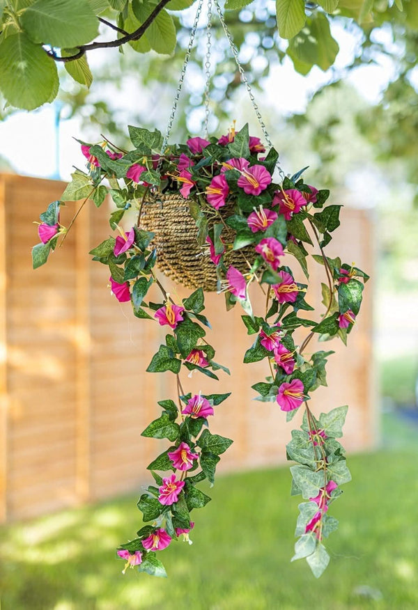 Pink trailing flower basket hanging in garden