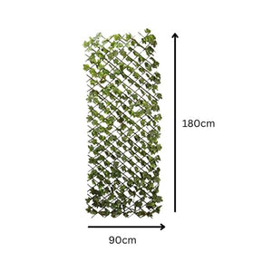 Realistic lemon leaf trellis displayed against garden fence