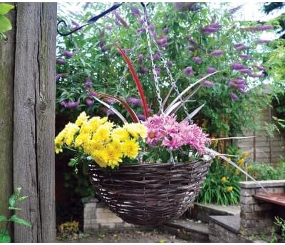 hanging basket with liner