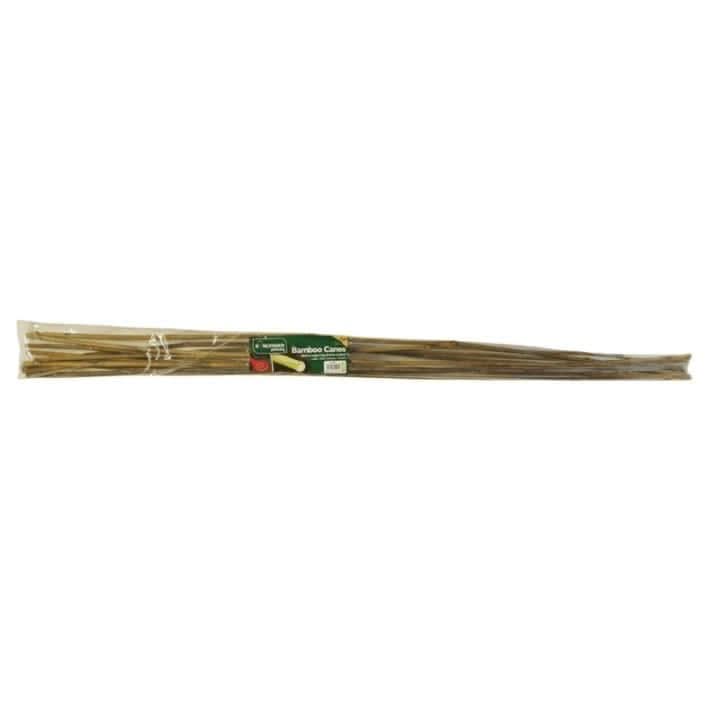 Natural bamboo garden canes shown together