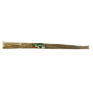 Natural bamboo garden canes shown together