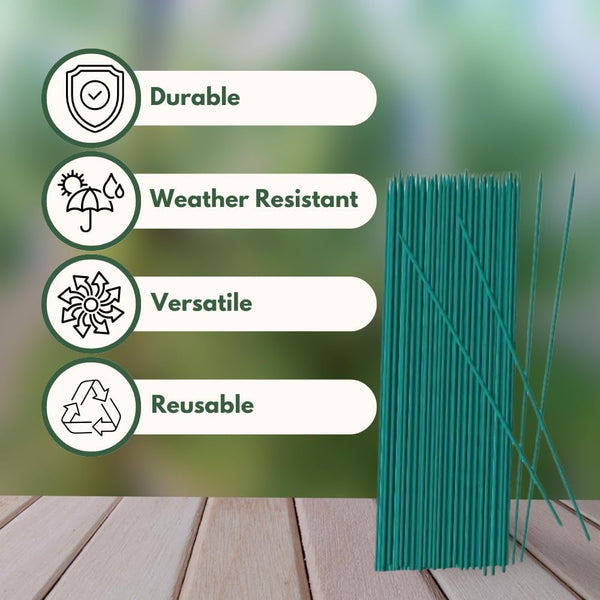 Natural bamboo stakes for tomato plant support