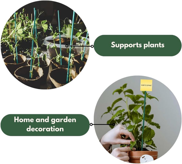 Bamboo canes for trellis and garden structures