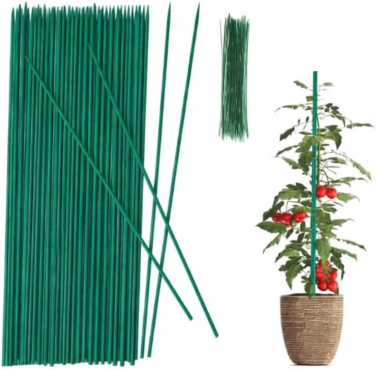 Natural bamboo plant stakes for garden support