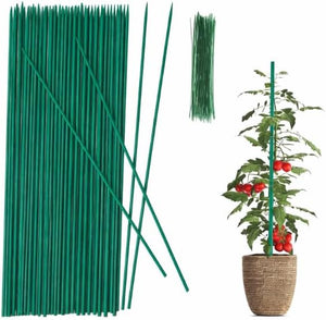 Natural bamboo plant stakes for garden support