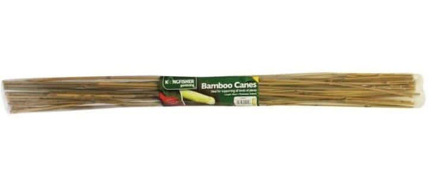 Bamboo garden stakes supporting growing plants