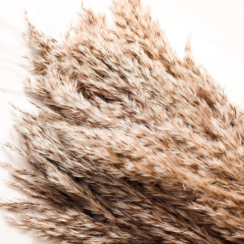 Clear vase with dried pampas grass against a white paneled wall.