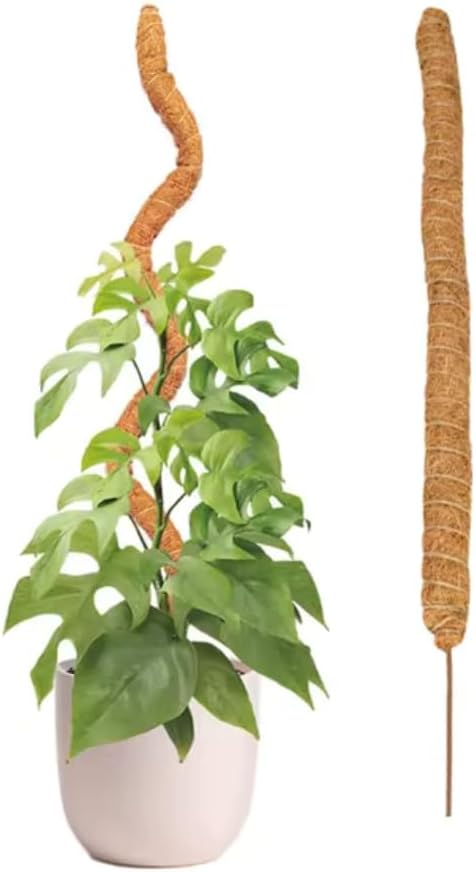 bendable plant support stake for climbing houseplants