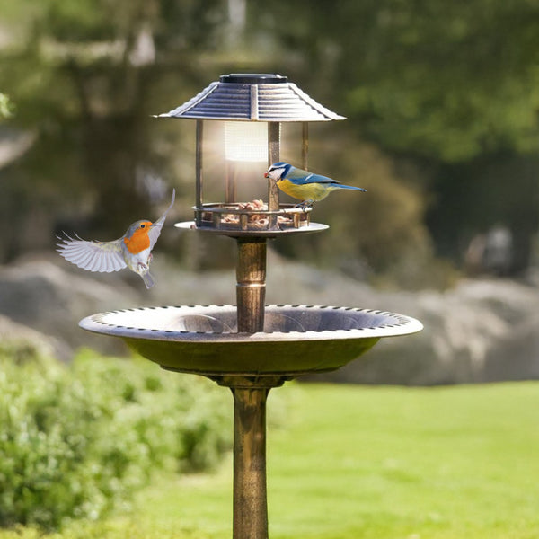 Decorative bird feeder and planter displayed outdoors