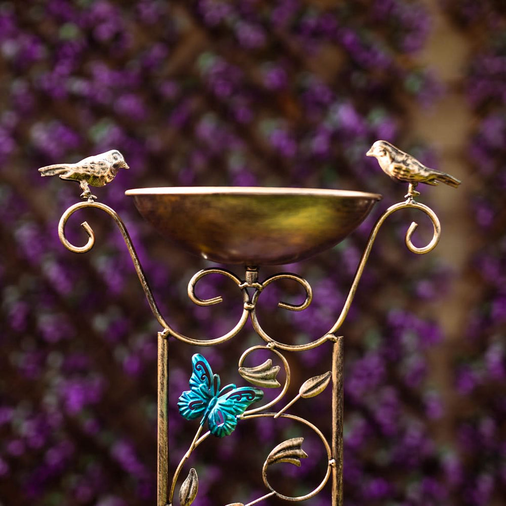 Bronze effect bird bath garden trellis
