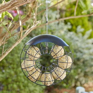 Hanging suet ball bird feeder ring
