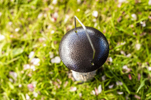 Wild bird feeder suitable for nuts seeds and suet
