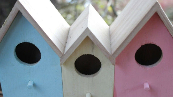 Bird feeder nesting box combination