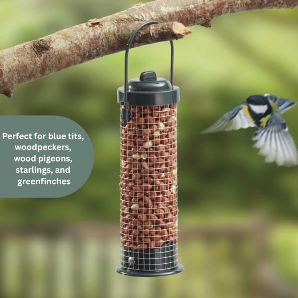protein rich peanuts for wild birds