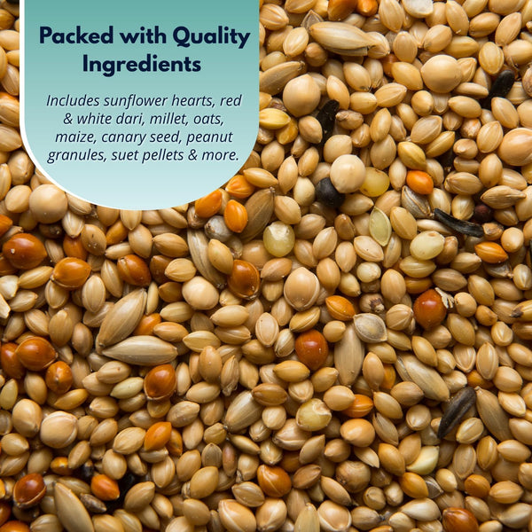 Premium no grow bird seed mix