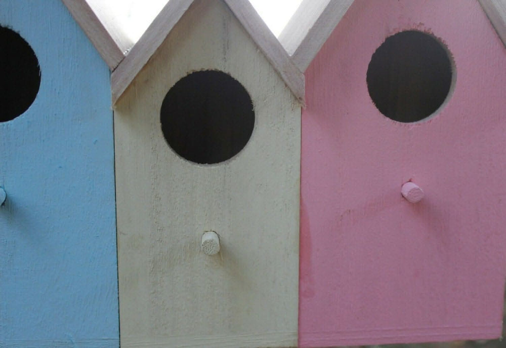 3 in 1 wild garden bird house