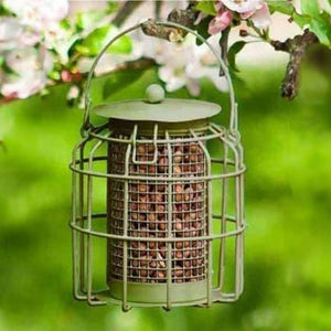 Bird peanut feeder cage with squirrel guard