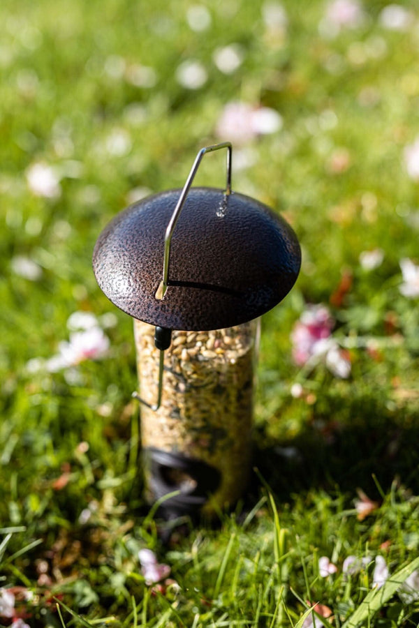 Garden bird feeding station with clear seed reservoir