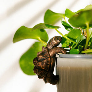 Resin tortoise ornament hanging from plant pot