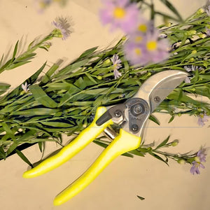 Bypass secateurs for cutting stems and branches