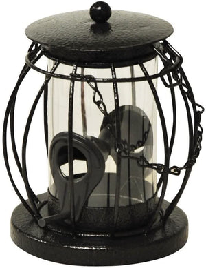 Metal caged bird feeder with hanging chain