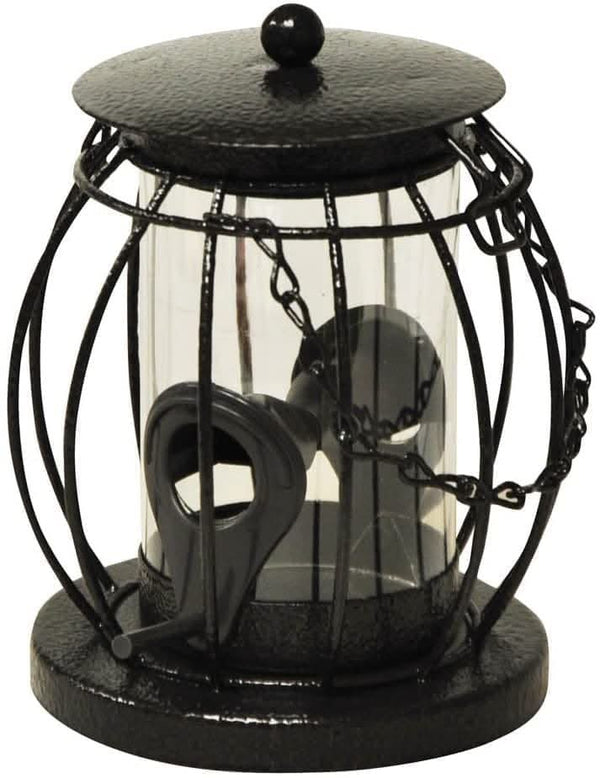 Metal caged bird feeder with hanging chain